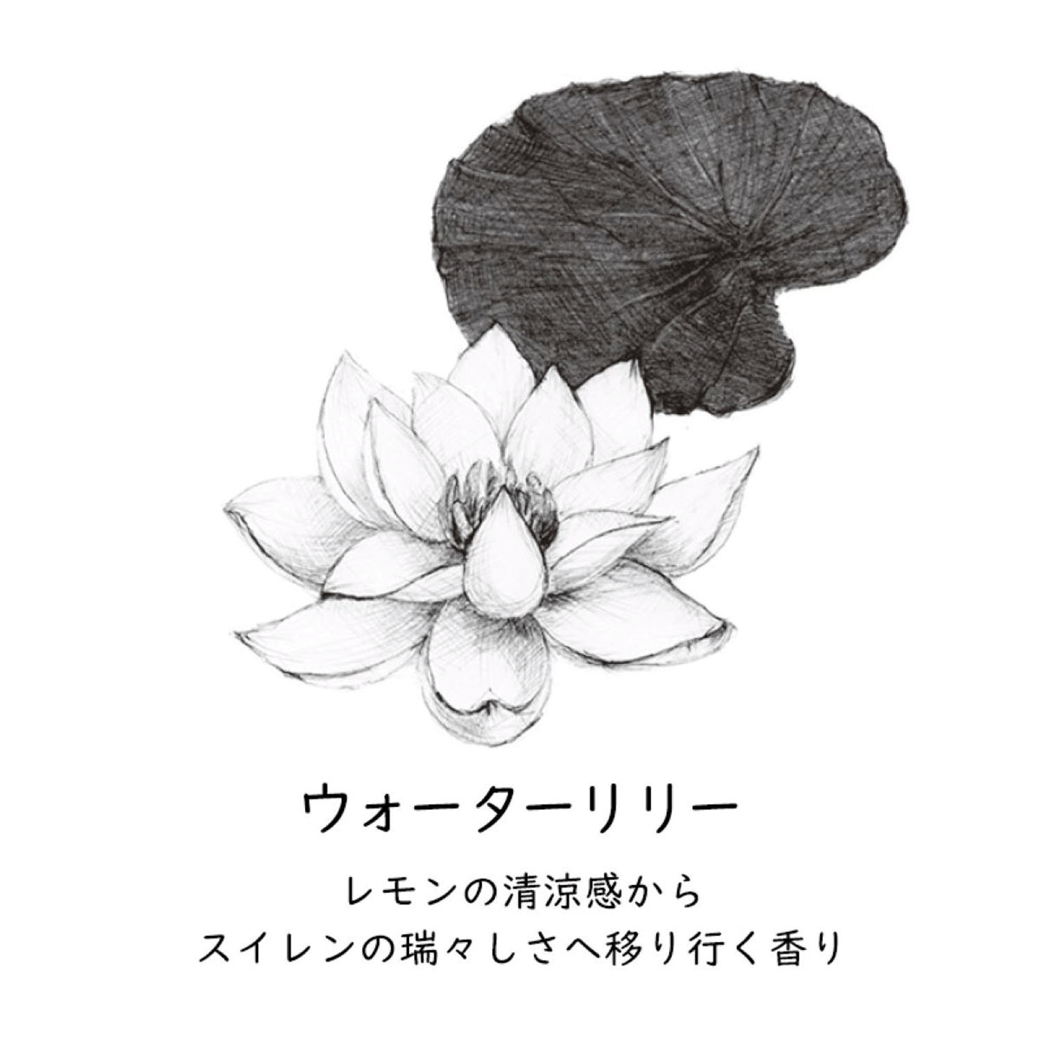 GRASSE TOKYO オードパルファン - 画像12