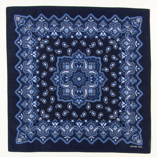 バンダナペイズリー - 画像11