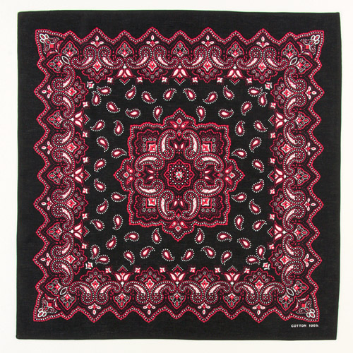 バンダナペイズリー - 画像3