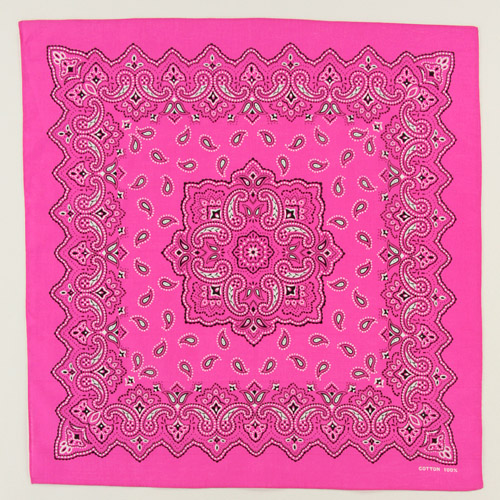 バンダナペイズリー - 画像4