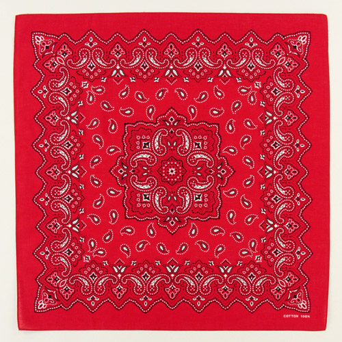 バンダナペイズリー - 画像5