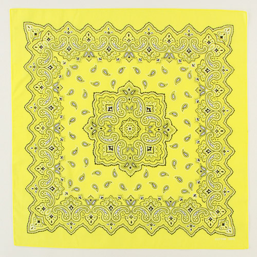 バンダナペイズリー - 画像7
