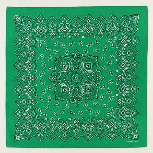 バンダナペイズリー - 画像8