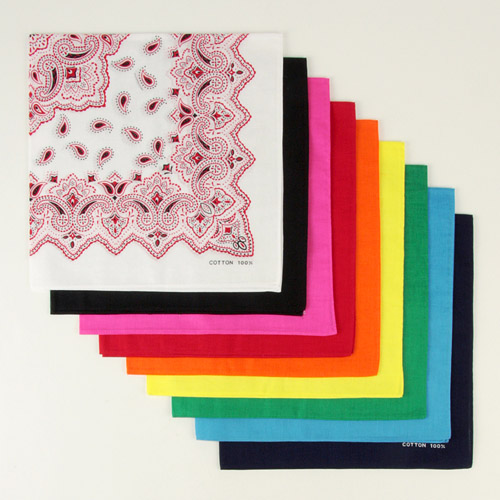 バンダナペイズリー