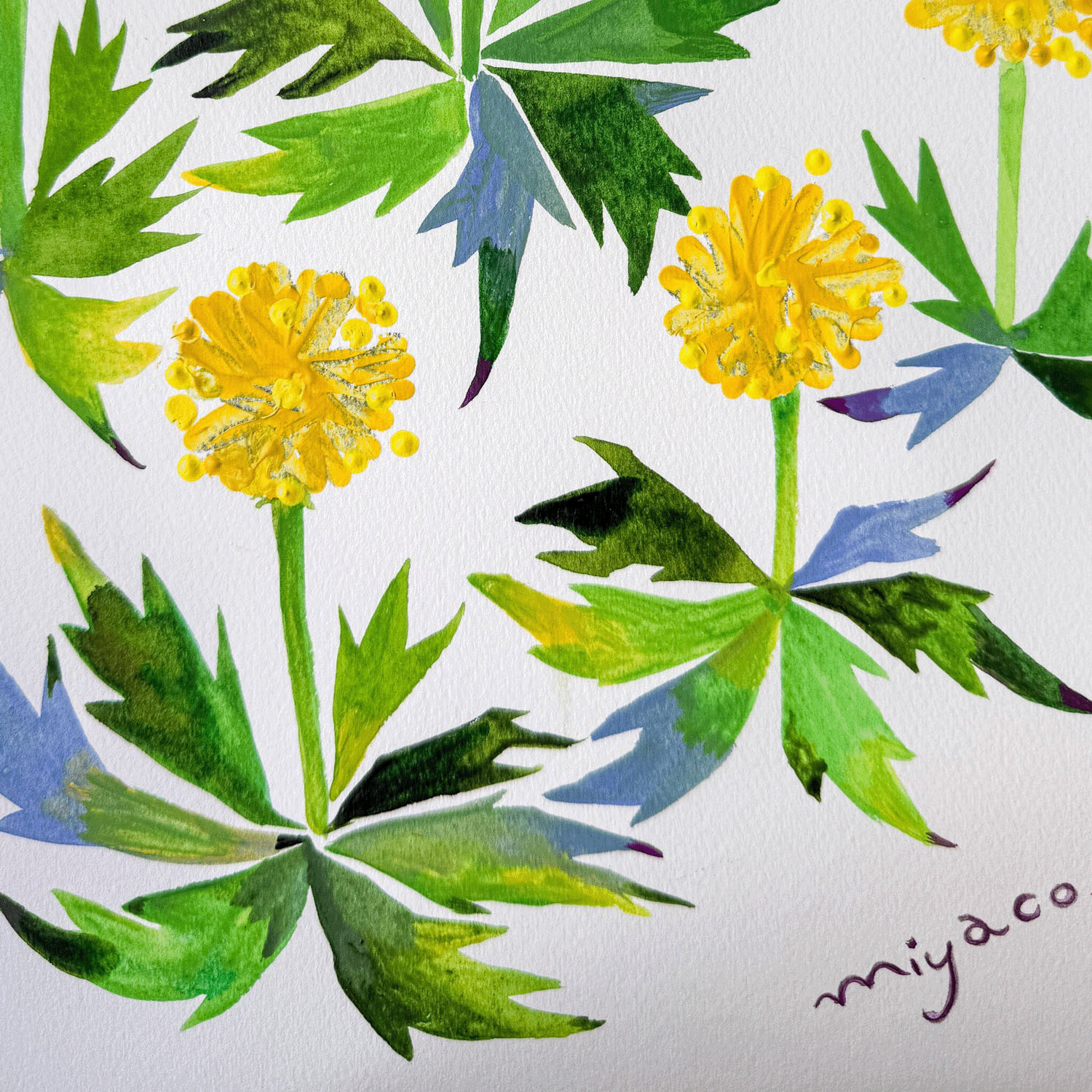 miyaco スカーフにもなる水彩画 ハンカチ TANPOPO - 画像5