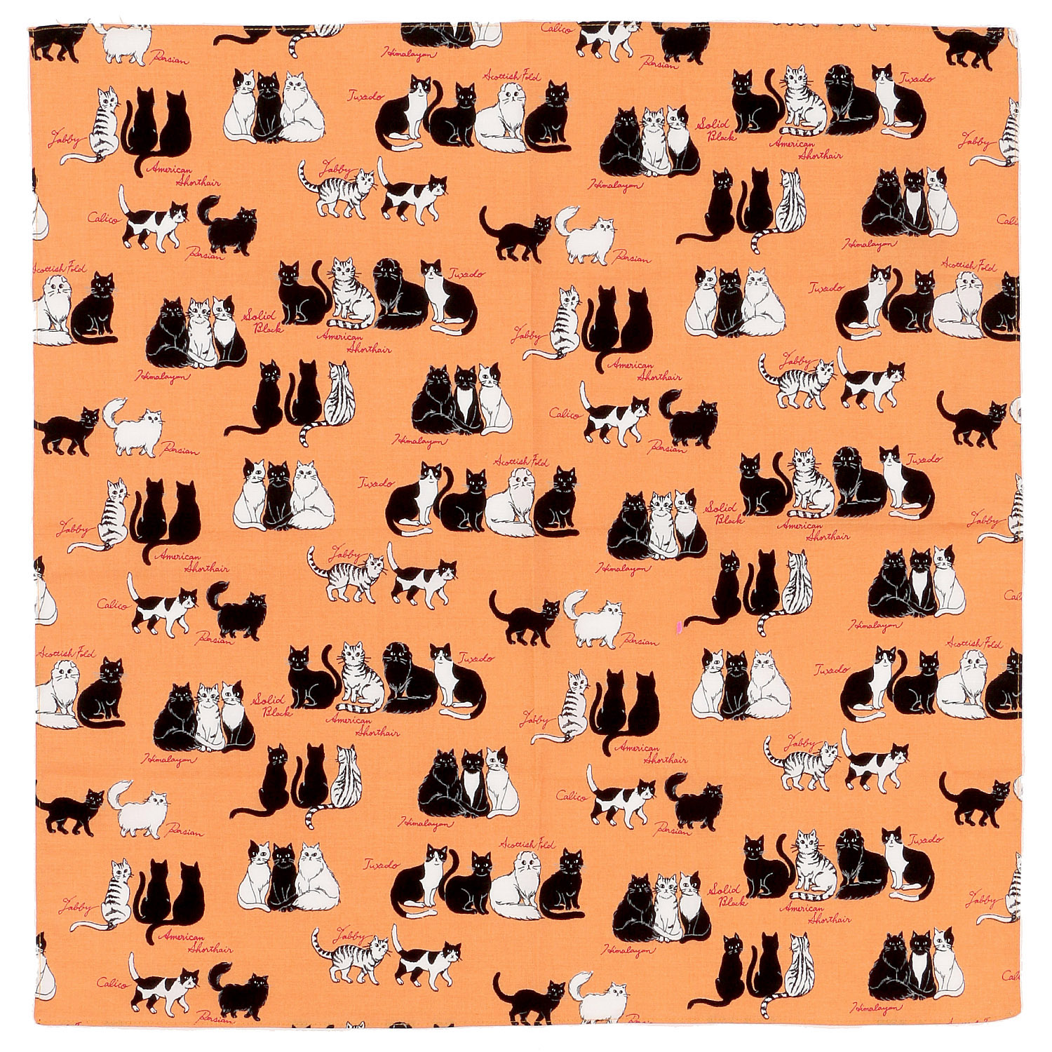 にゃんにゃんハンカチ （ギフトパッケージ入り） - 画像3