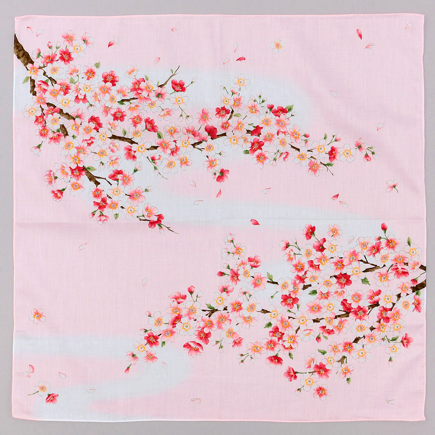 京彩 SAKURA 千代に咲く - 画像2