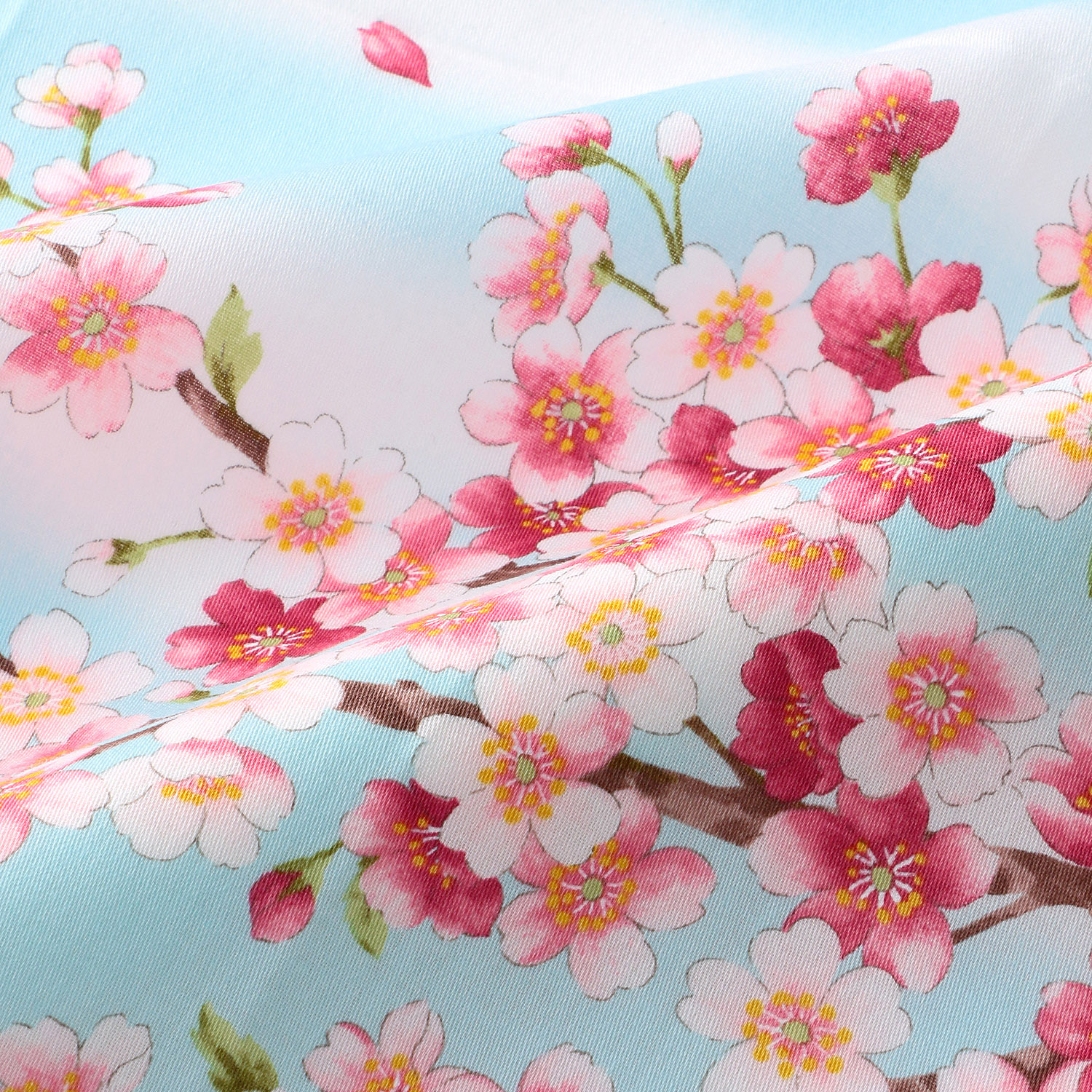 京彩 SAKURA 千代に咲く - 画像5