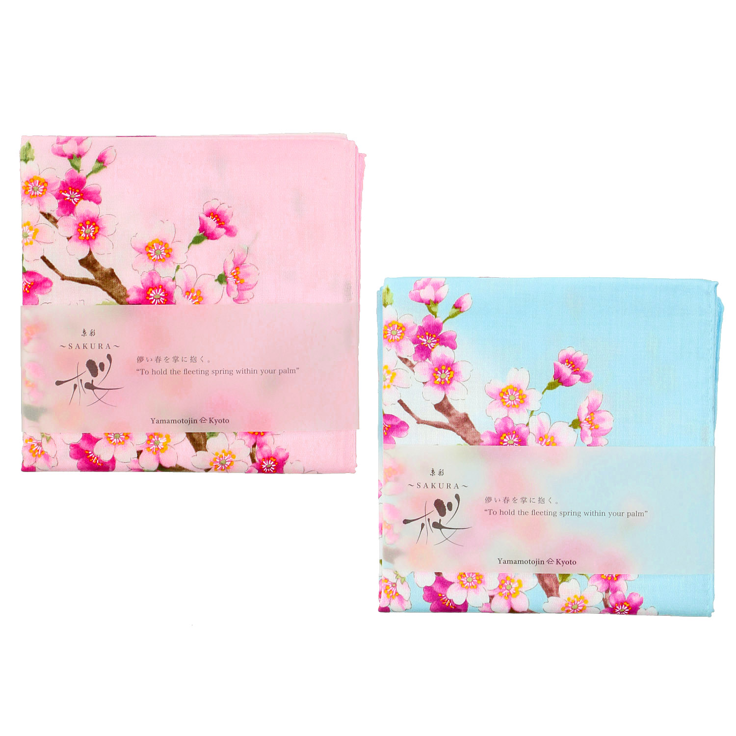 京彩 SAKURA 千代に咲く - 画像1