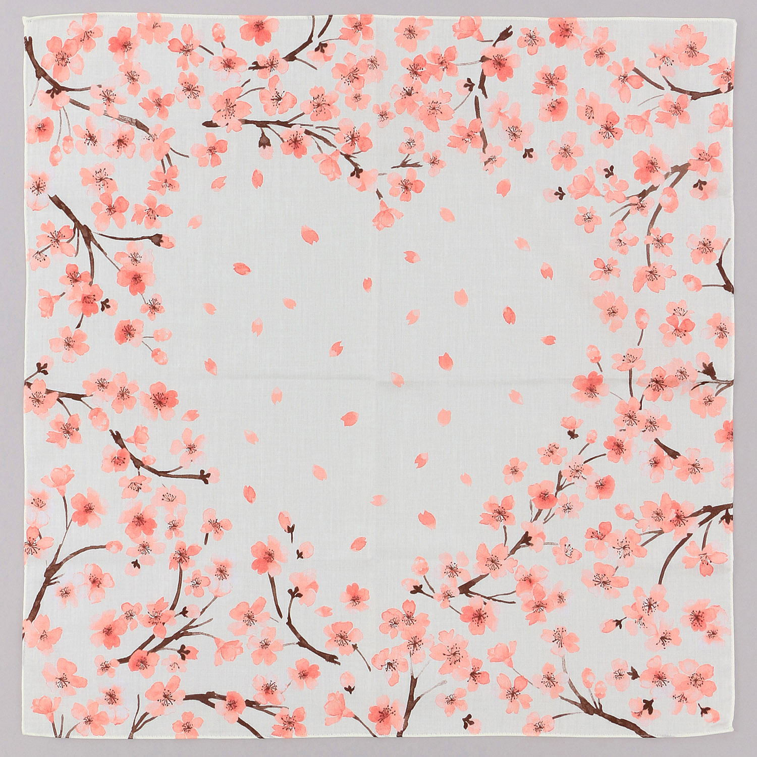 京彩 SAKURA あけぼの - 画像4