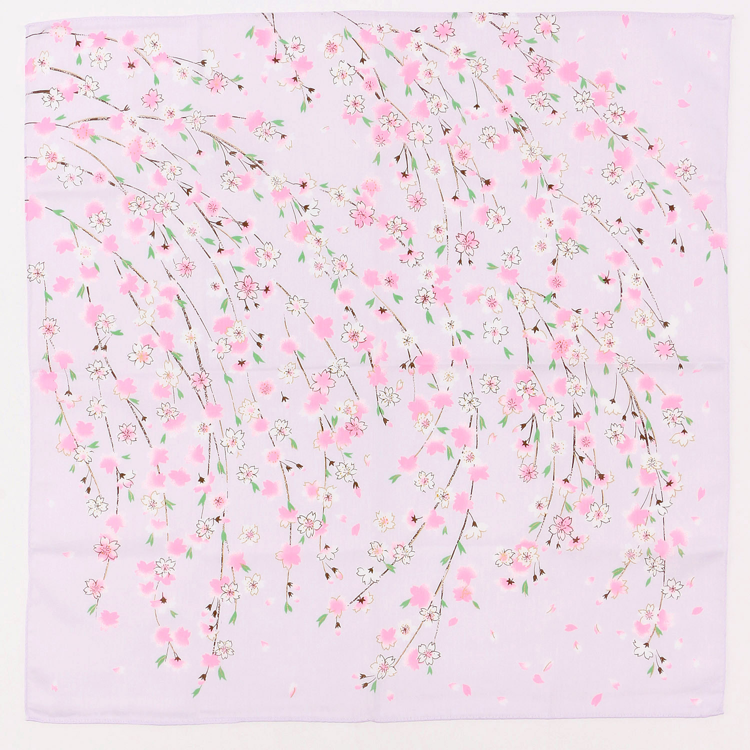 京彩 SAKURA 桜守り - 画像4