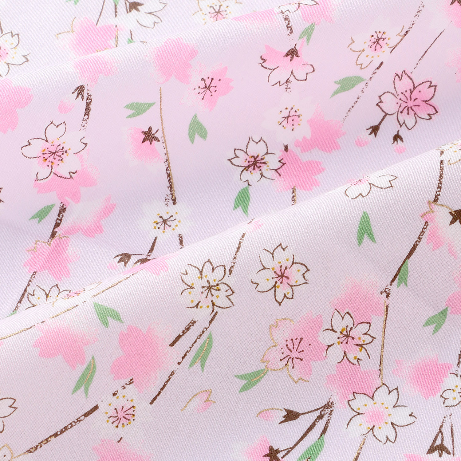 京彩 SAKURA 桜守り - 画像5