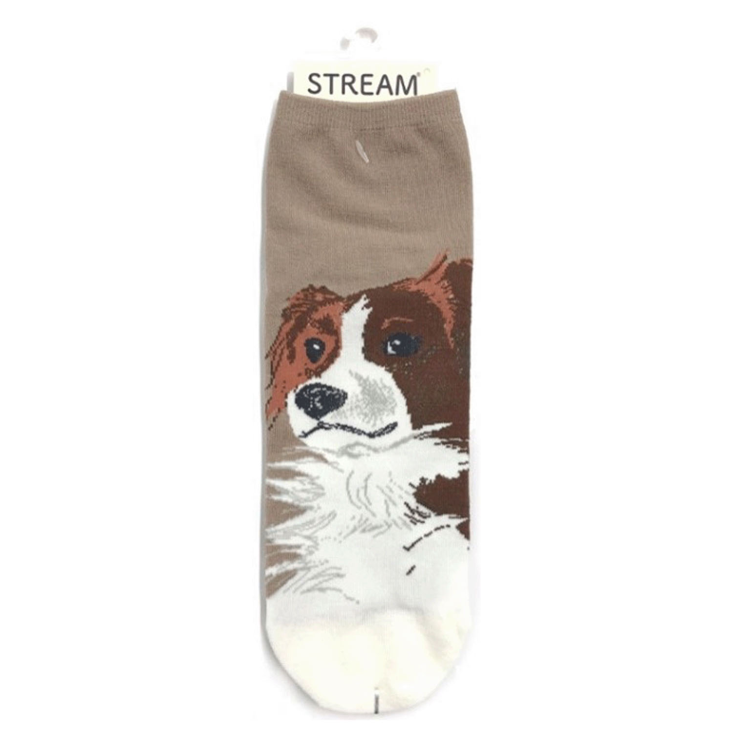 STREAM  DOG＆CAT SOCKS ロークルー - 画像7
