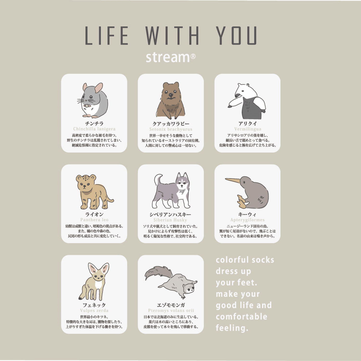 STREAM LIFE WITH YOU クルー丈 動物 刺繍 靴下【在庫限り】 - 画像2