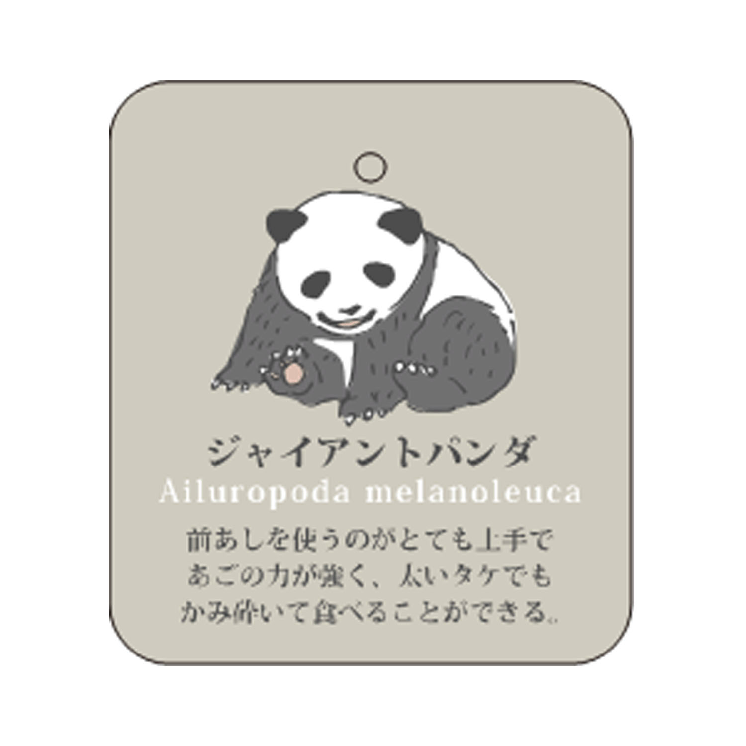 新色追加★STREAM LIFE WITH YOU クルー丈 動物 刺繍 靴下 - 画像11