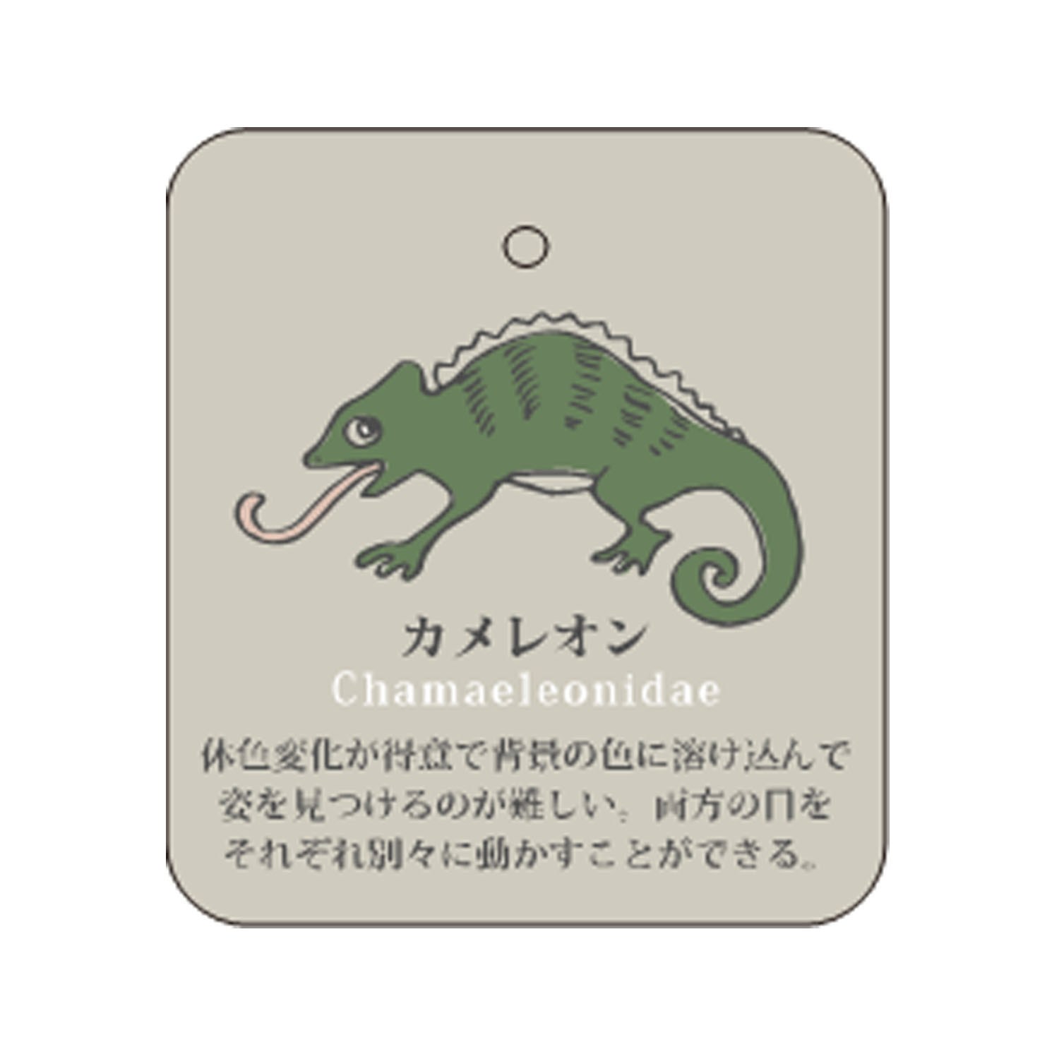 STREAM LIFE WITH YOU クルー丈 動物 刺繍 靴下 - 画像20