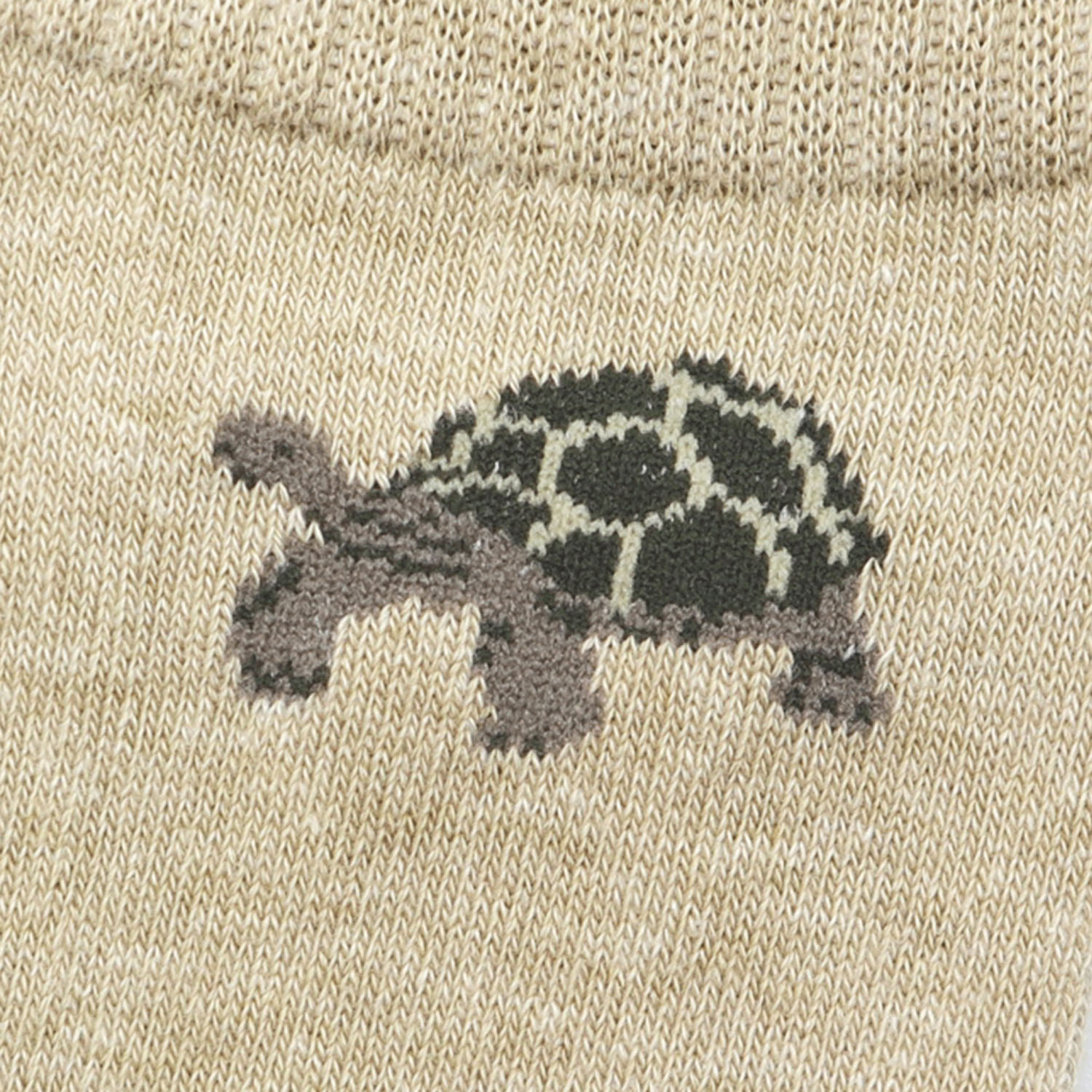 Miita 【Animal】 ガラパゴスゾウガメ - 画像4