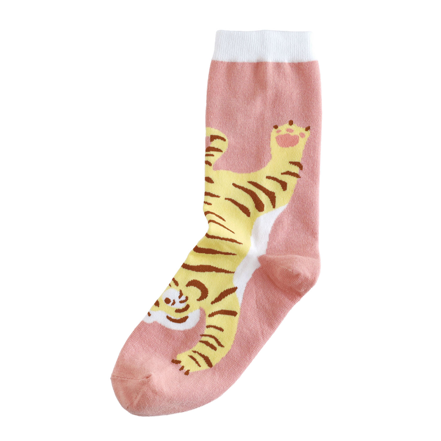 新作／garapago socks  （ガラパゴ ソックス） - 画像11