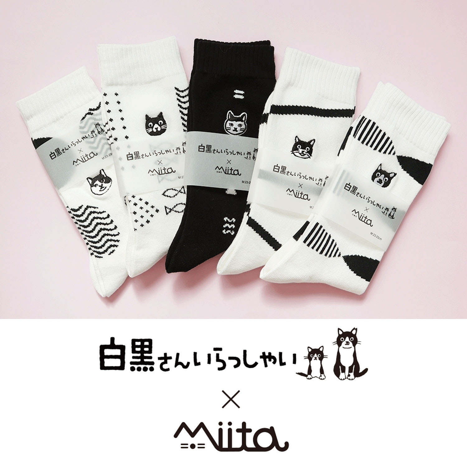 Miita 【白黒さんいらっしゃい×Miita】白黒ソックス - 画像1