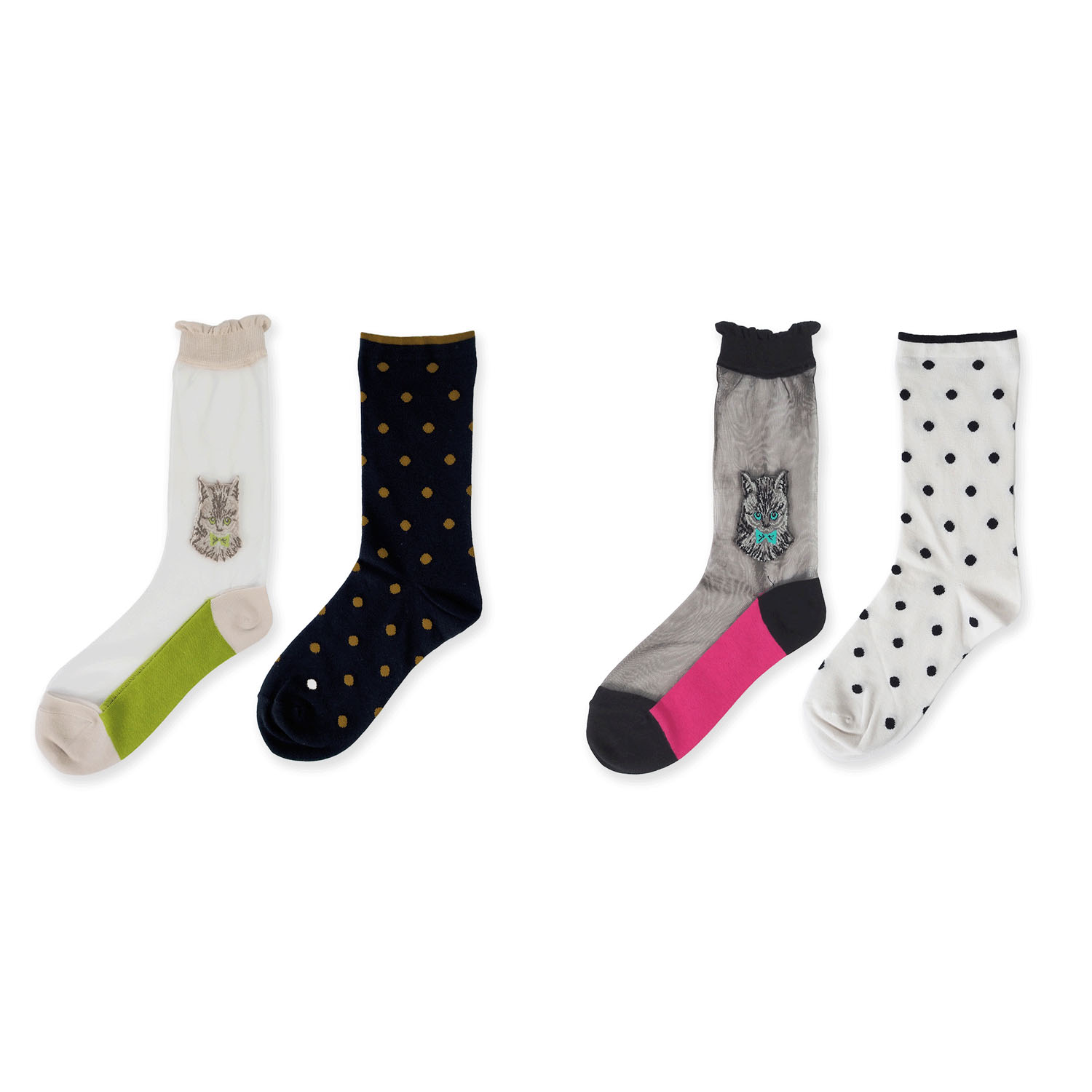 ande レイヤードソックス CAT【在庫限り】