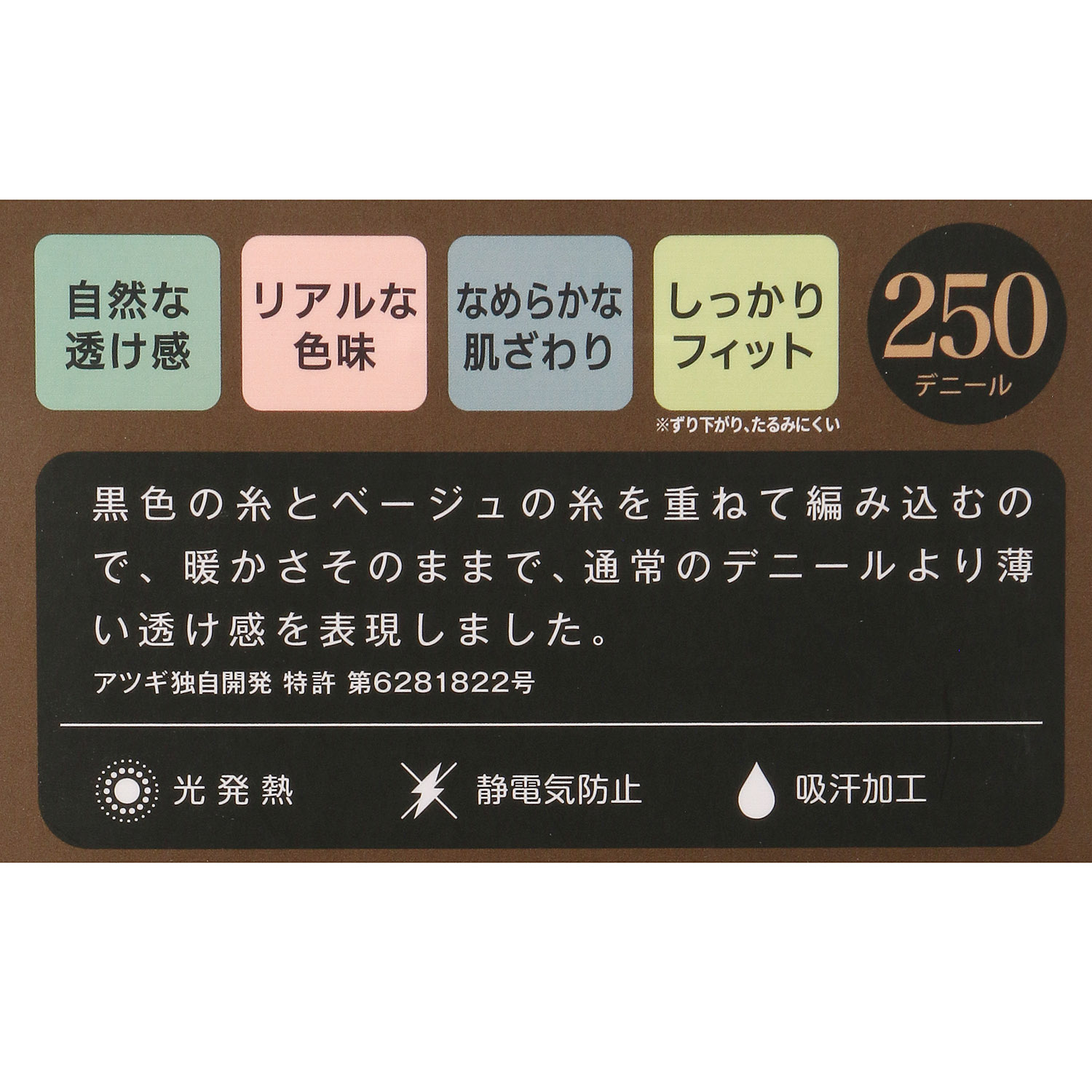 ATSUGI  フェイクタイツ250デニール【在庫限り】 - 画像2