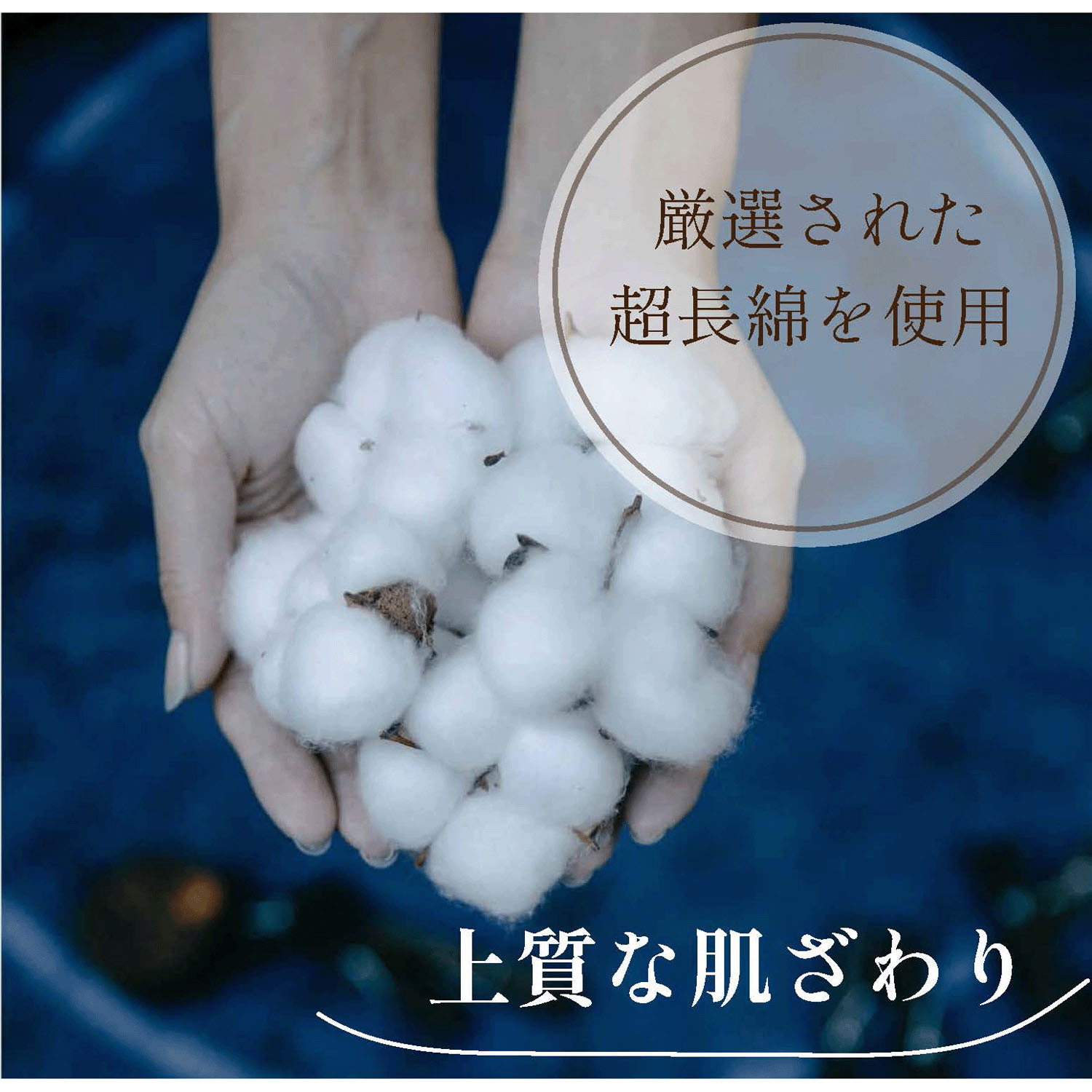 【TAMURA】エパリナ 綿混のびのびフィットショーツ - 画像11