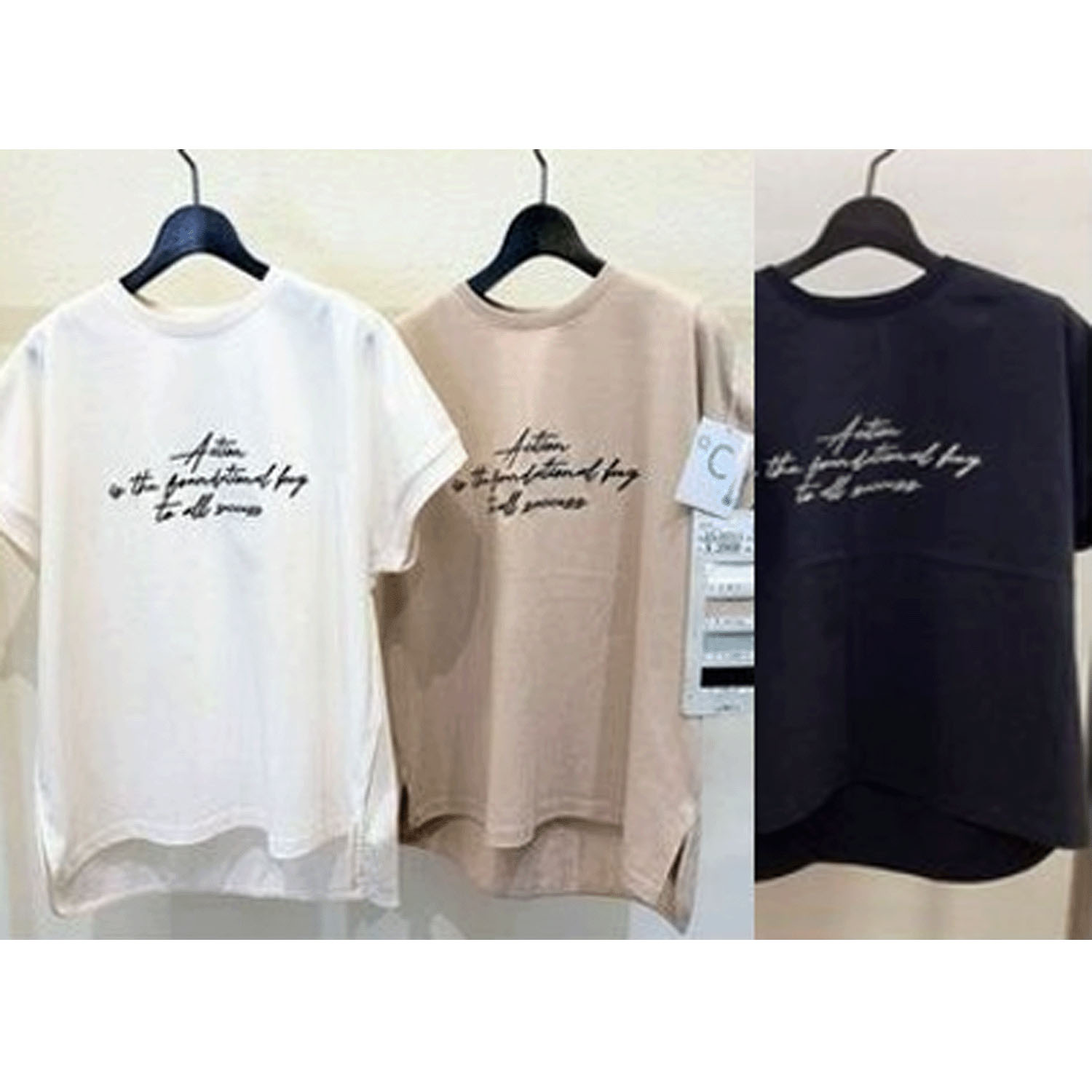 ザンパロゴ刺しゅうTシャツ - 画像1