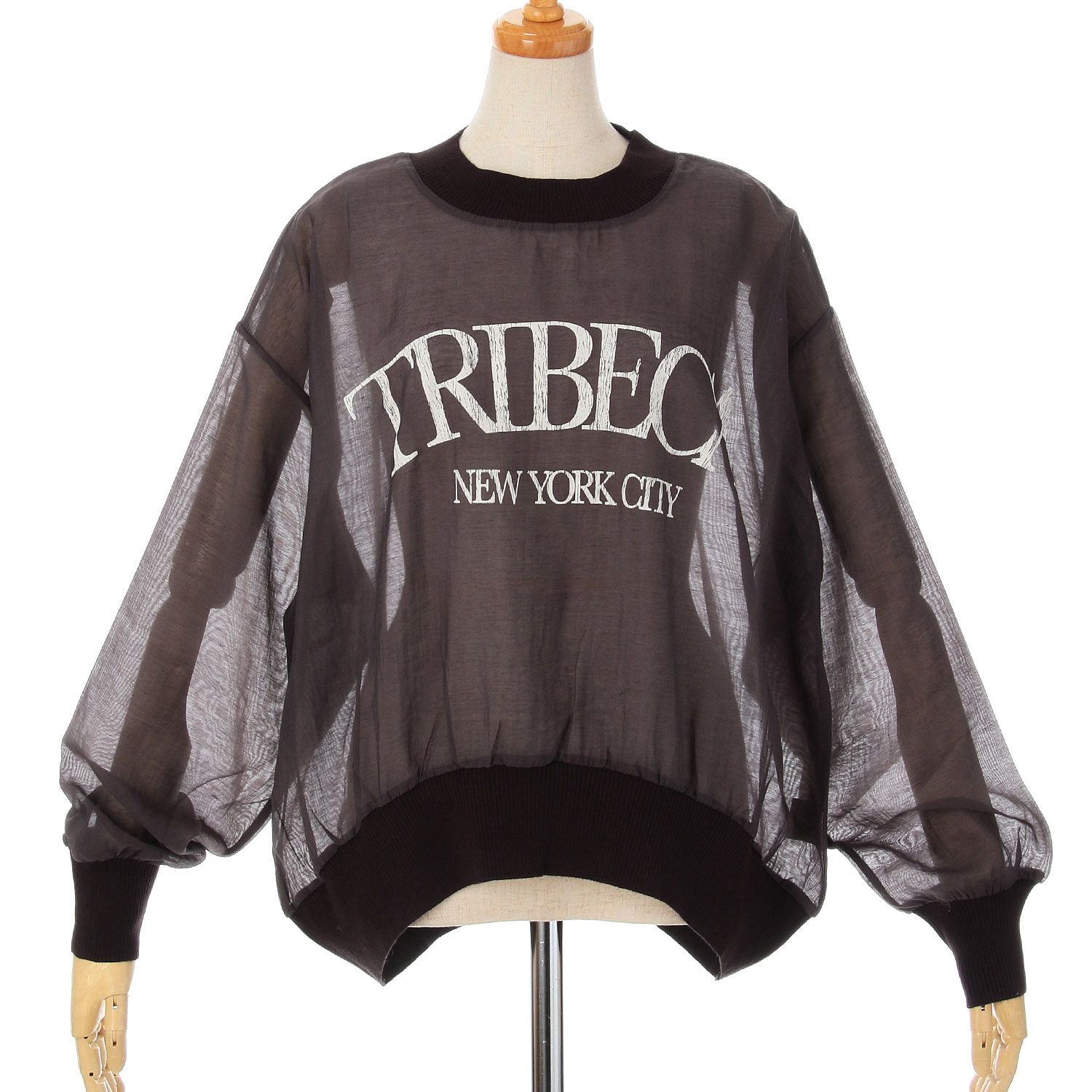 ザンパ カレッジロゴプルオーバー - 画像3