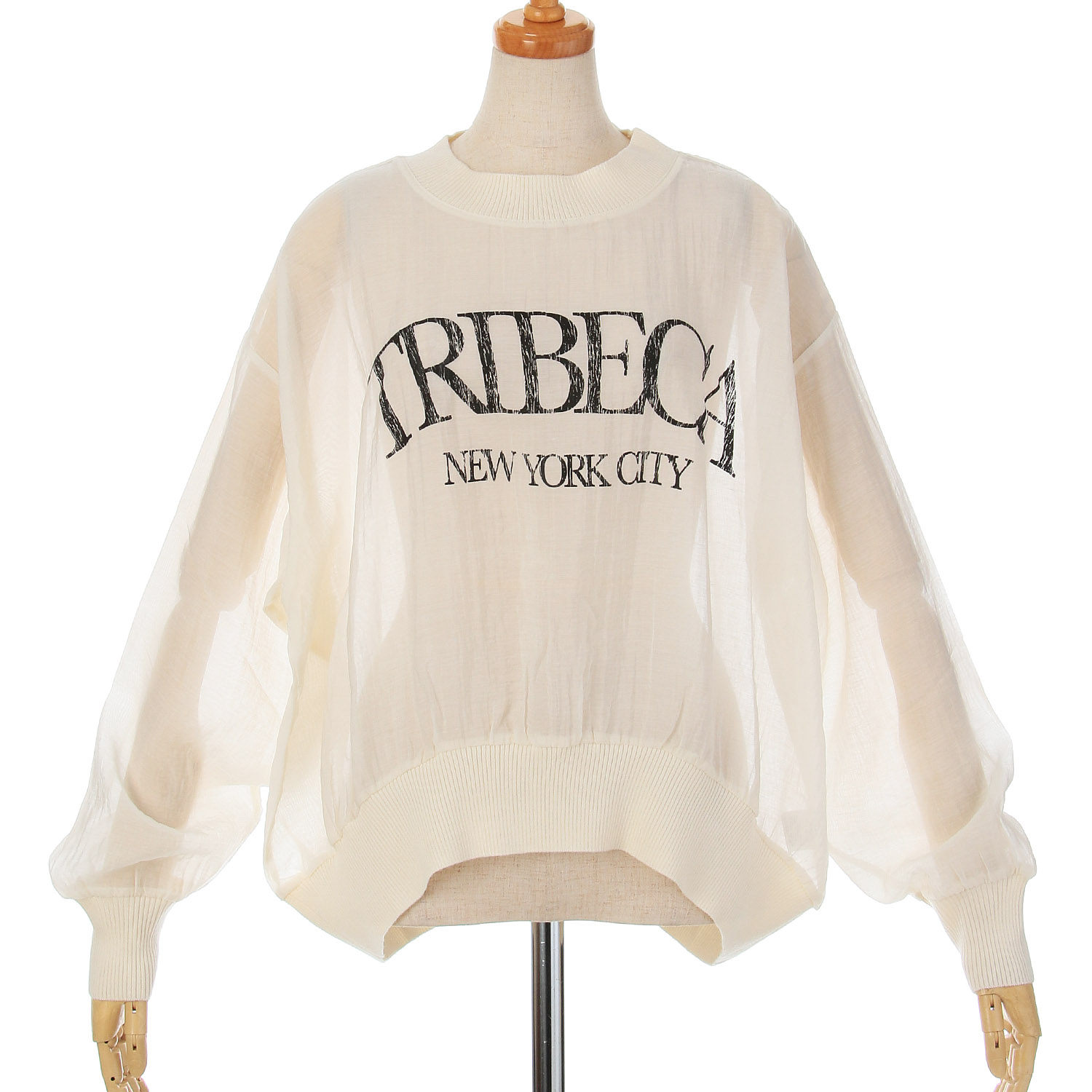 ザンパ カレッジロゴプルオーバー - 画像6