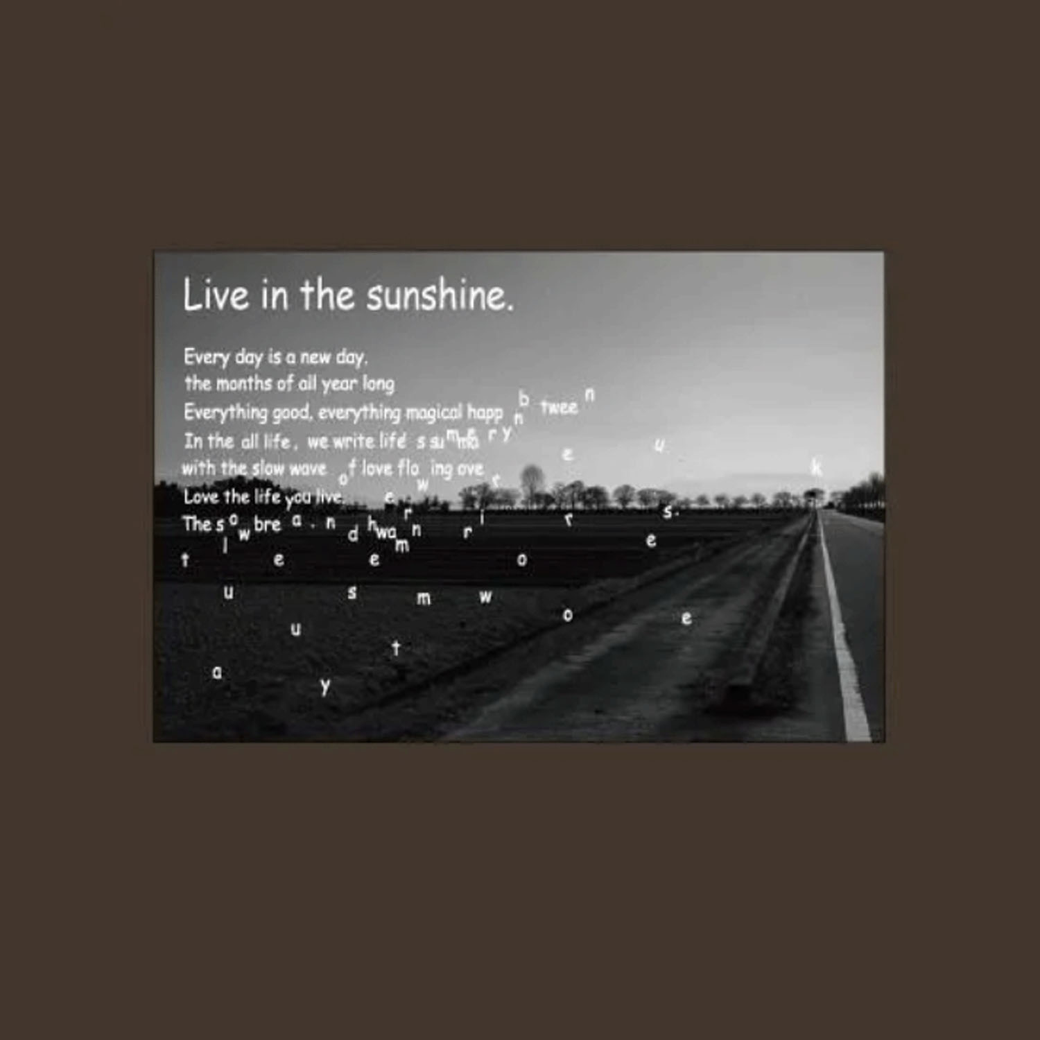 【Insta Live】vingtrois ドライタッチコットンテキストフォトT - 画像3