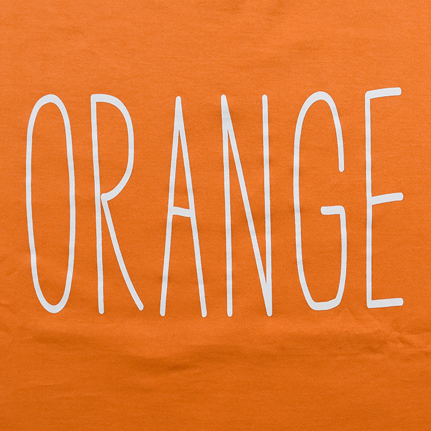 Northern Truck BIGロゴワイドTシャツ - 画像10