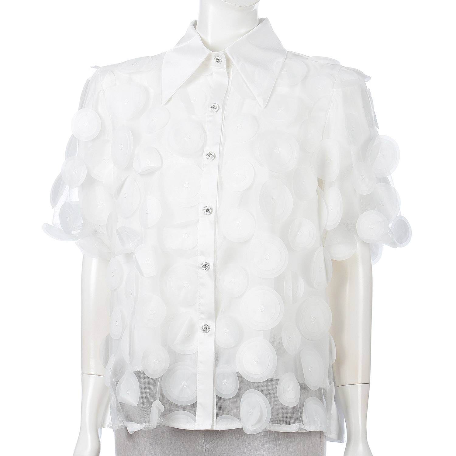 サークルモチーフシアーブラウス