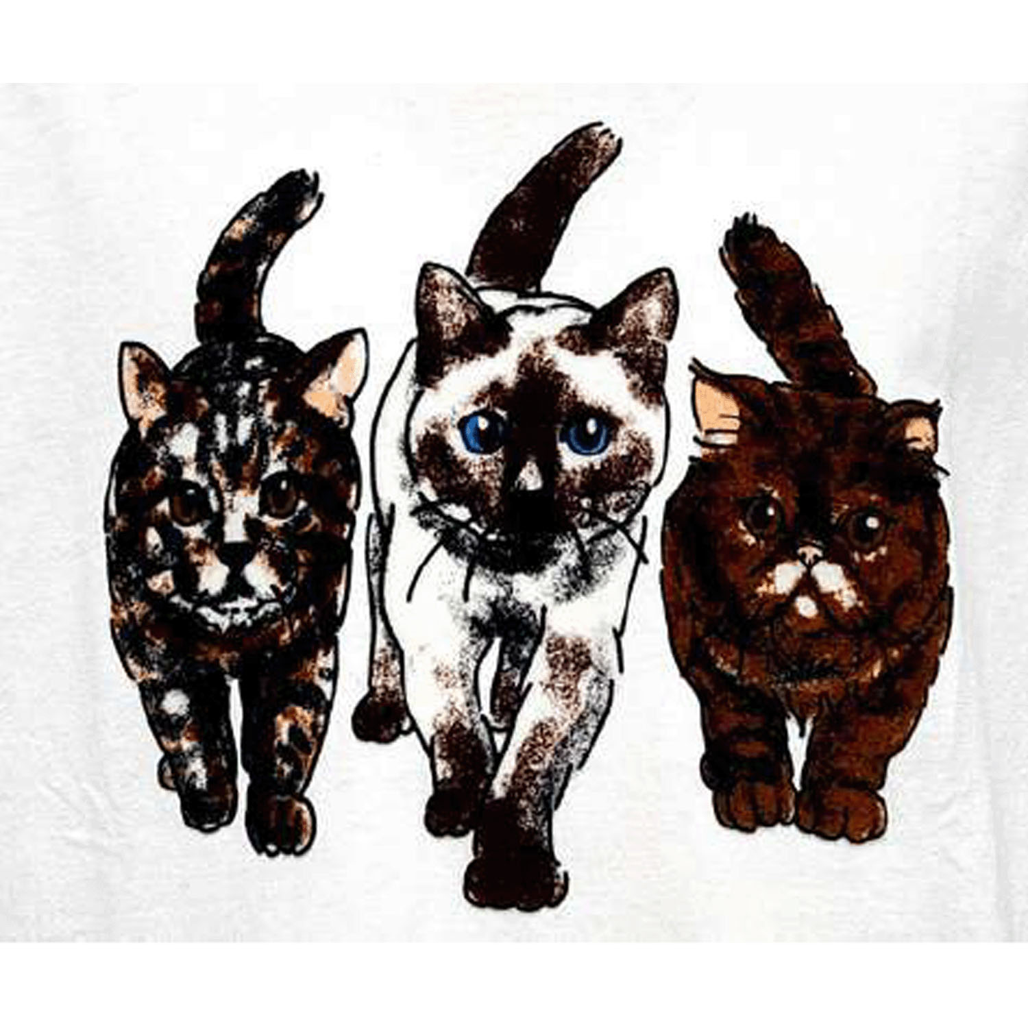 CORISCO Animal Village ネコフロッキーTシャツ - 画像9