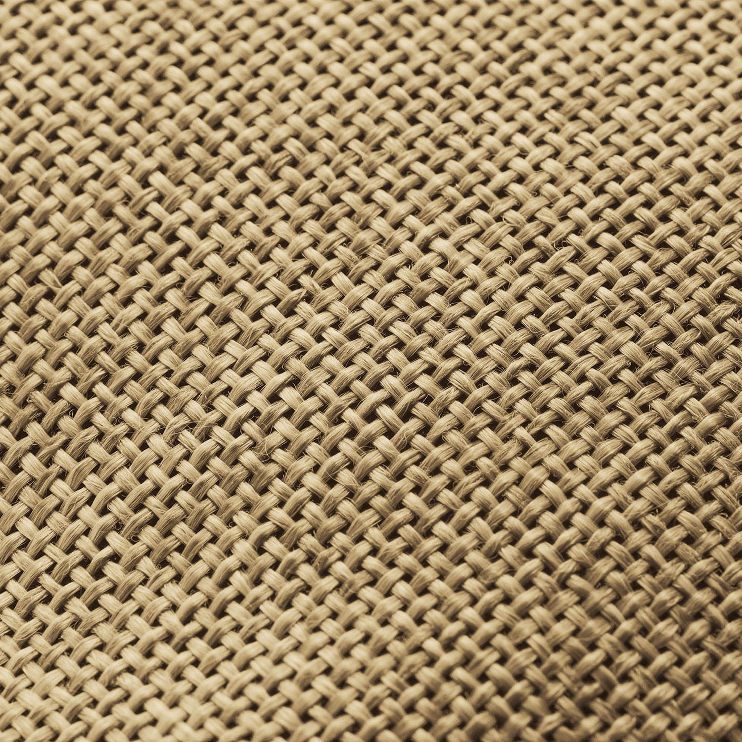 【3日間限定価格】COGIT（コジット）Sun Block LAB つば広ハイクハット - 画像21