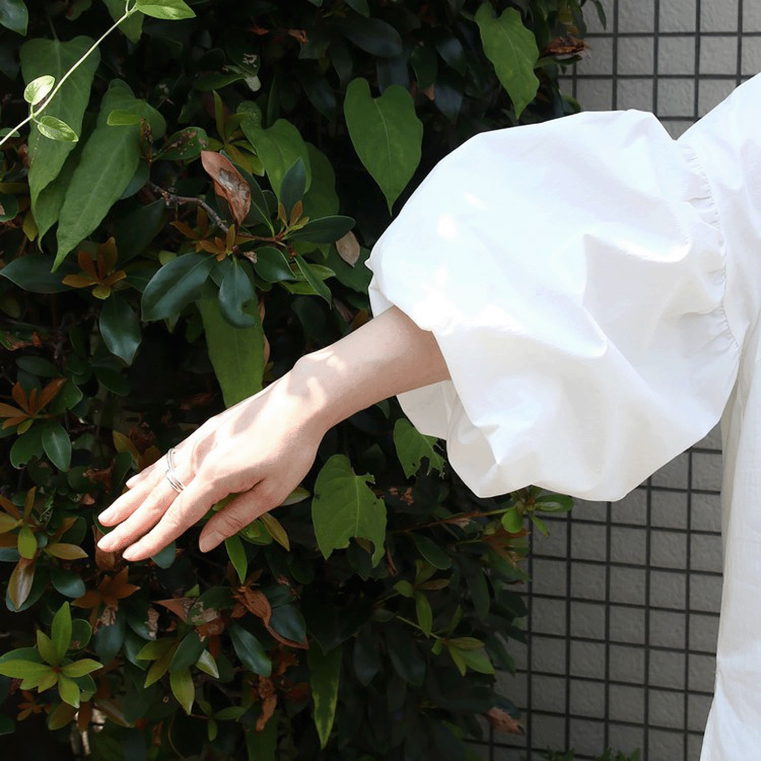 【Insta Live】Brown＆Street ポワンシャツ - 画像15