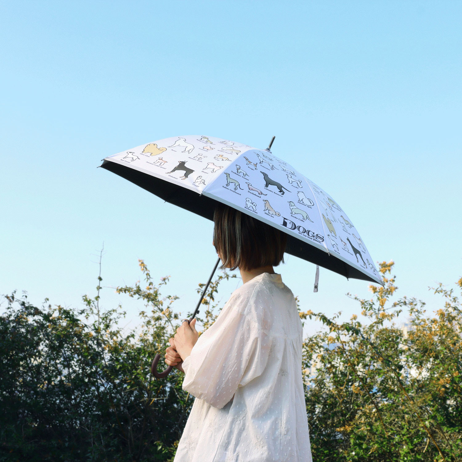 傘 犬図鑑 - 画像4