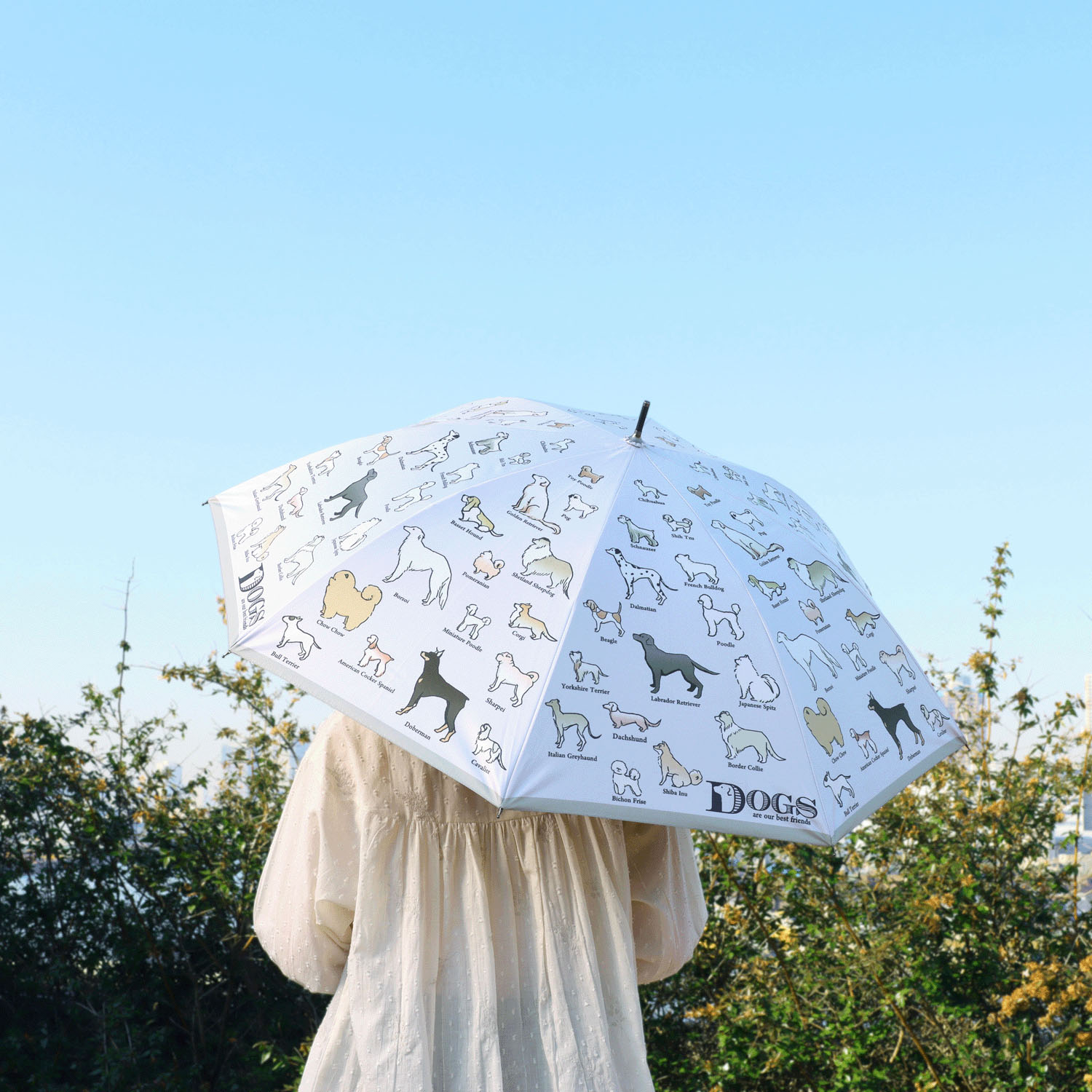 傘 犬図鑑 - 画像5