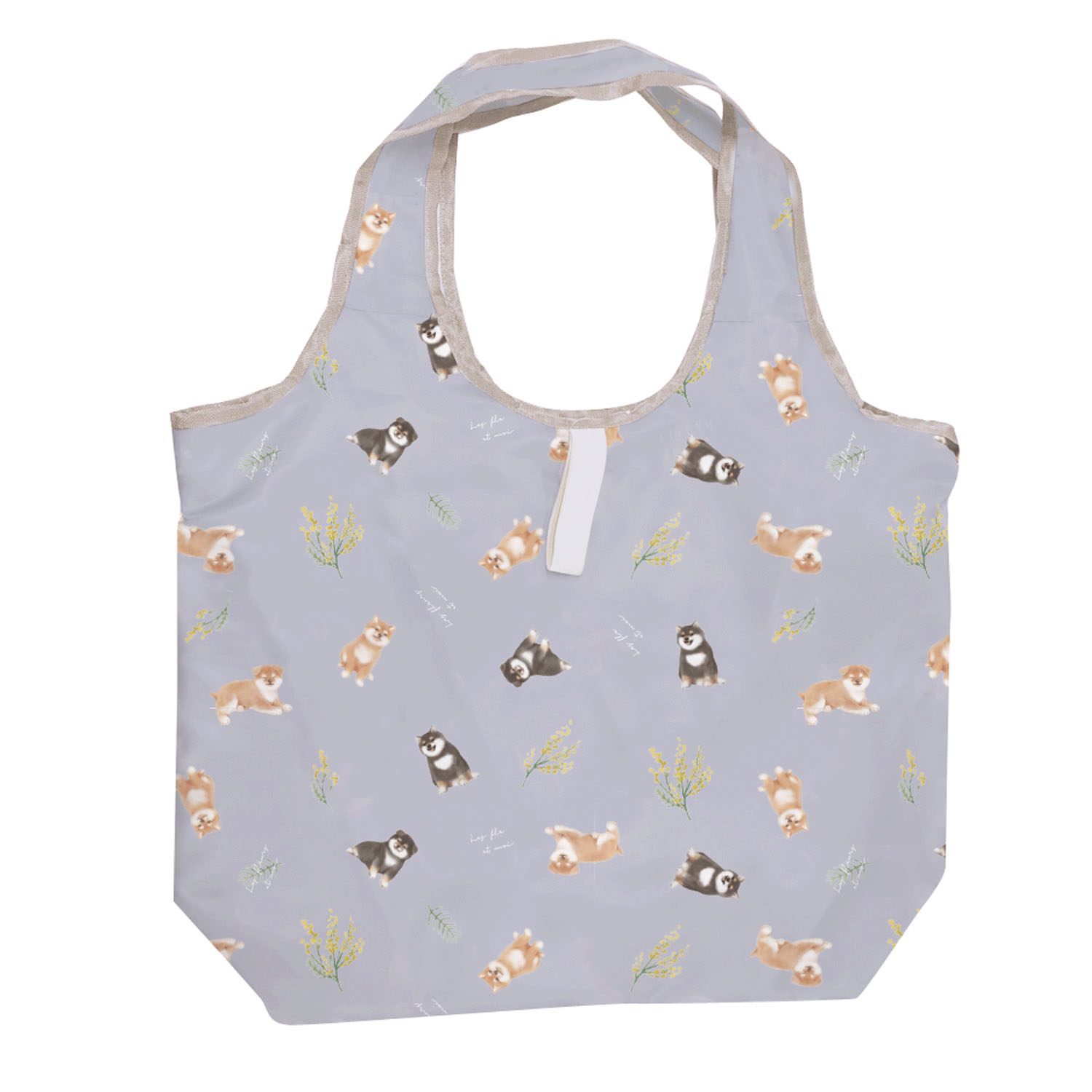 かるい保冷エコバッグ コータフレンズ - 画像1