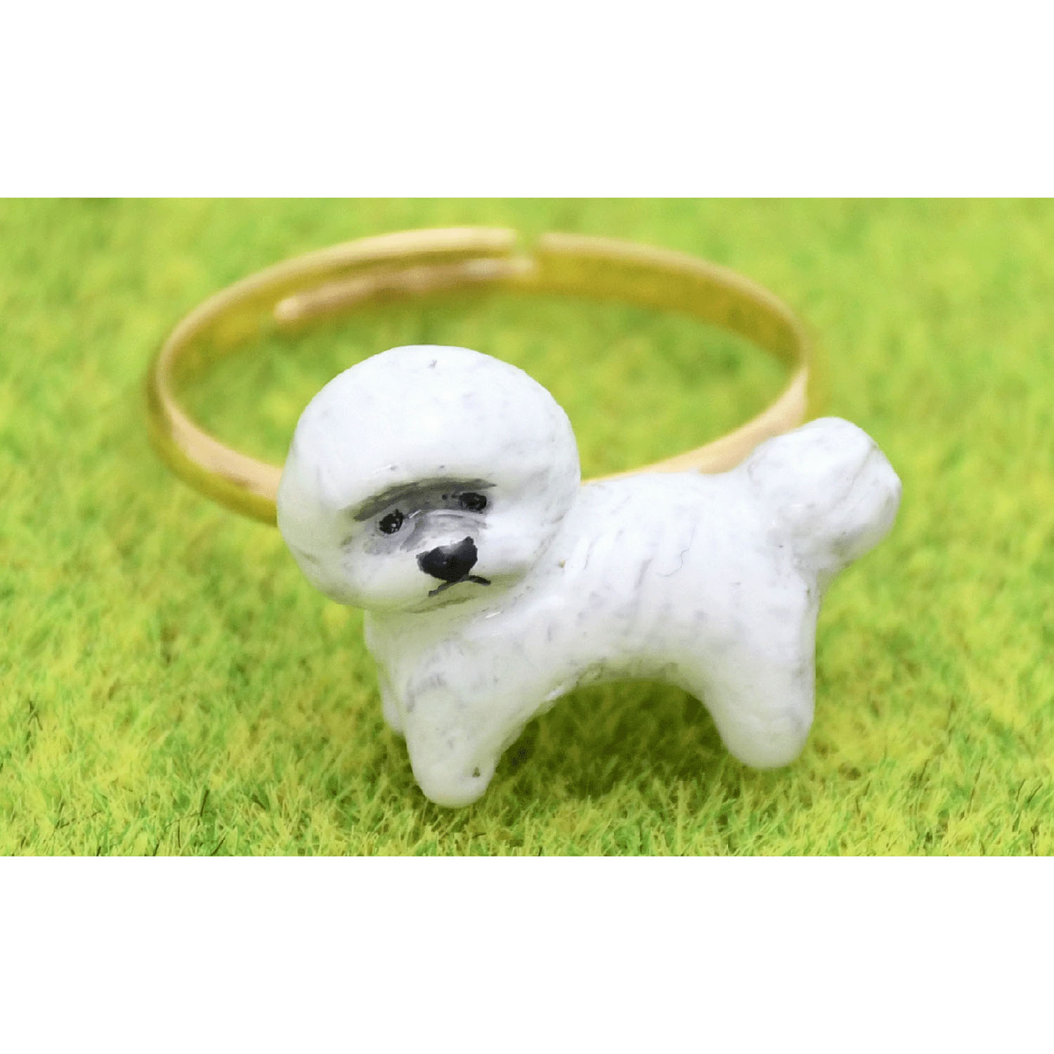 elioリング ビションフリーゼ