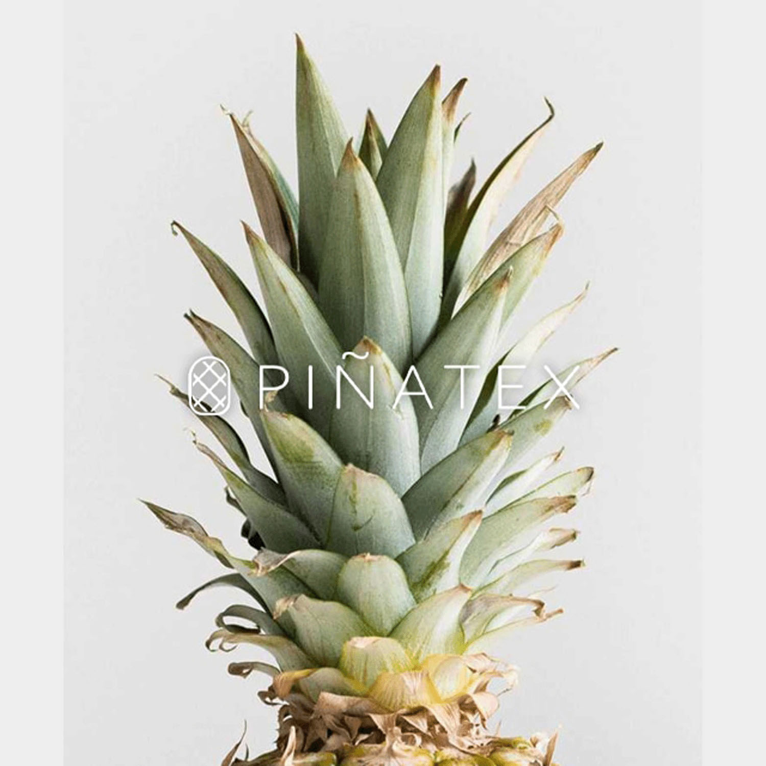 【パイナップルから作られた二つ折り財布】  ピニャーレ ハーフウォレット - 画像3