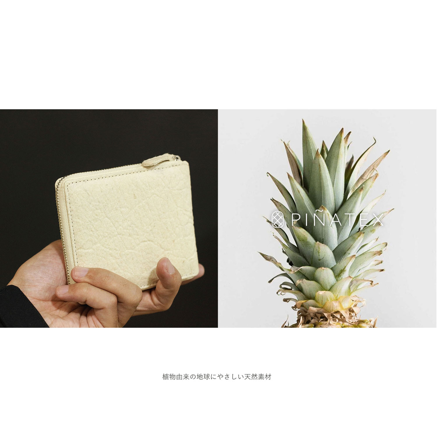 【パイナップルから作られた二つ折り財布】  ピニャーレ ハーフウォレット - 画像1