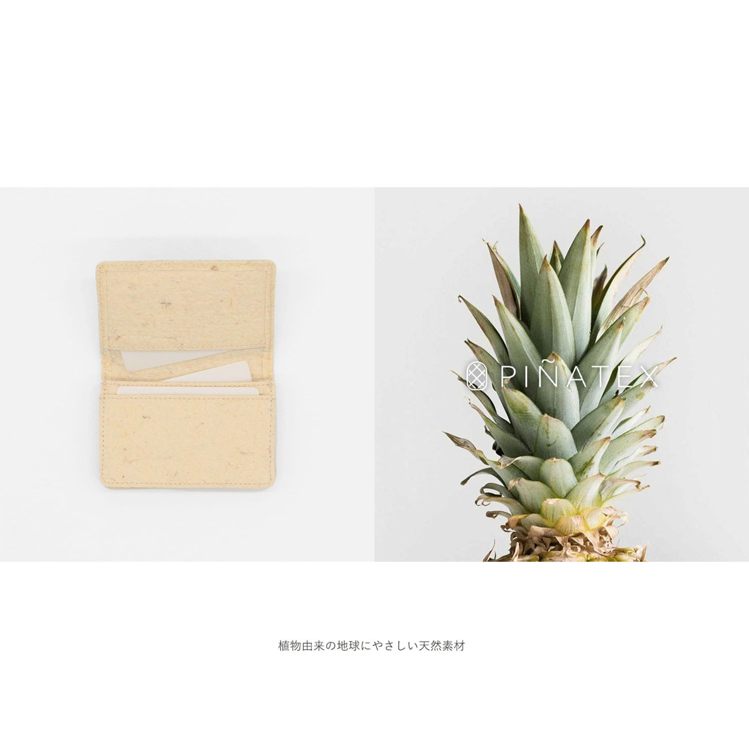 【パイナップルから作られた名刺入れ】 ピニャーレカードケース