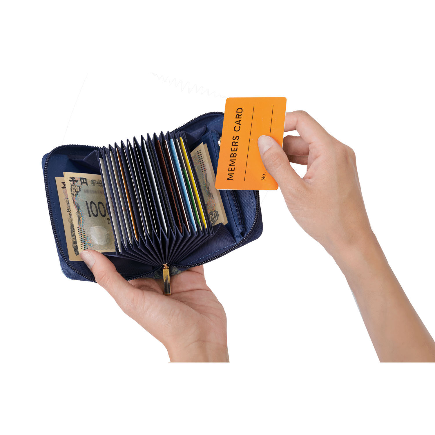 モリス カードケース - 画像5