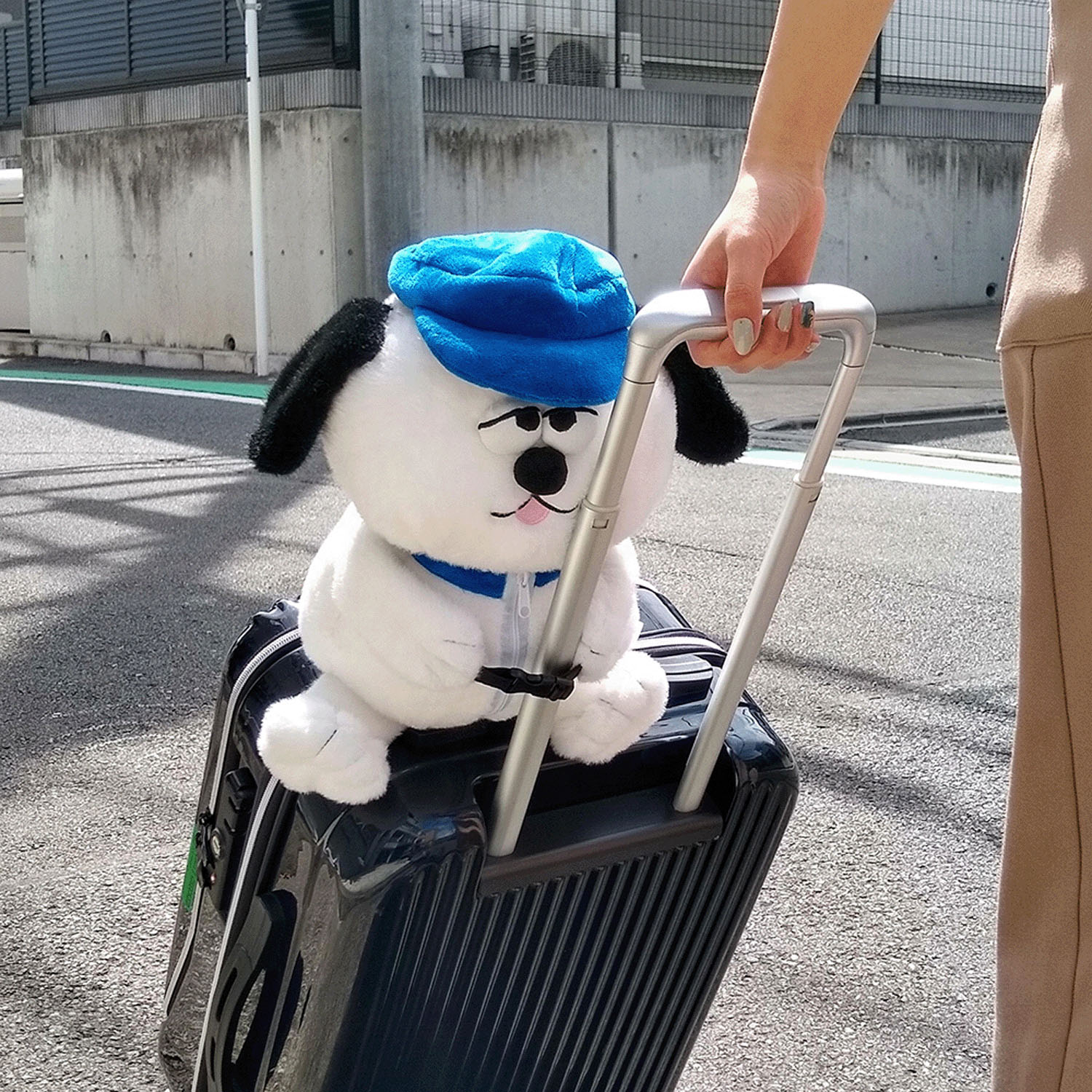 つれてって！オラフピローミント - 画像11