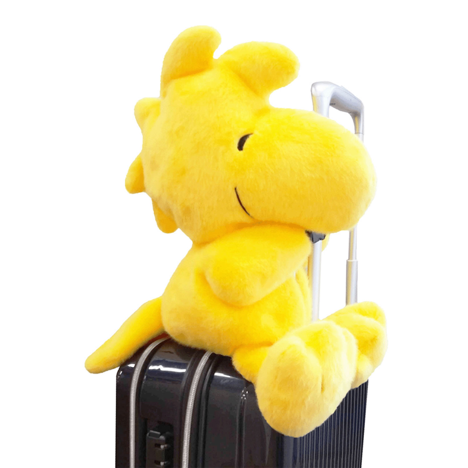 PEANUTS つれてって！ウッドストックピロー星空 - 画像4