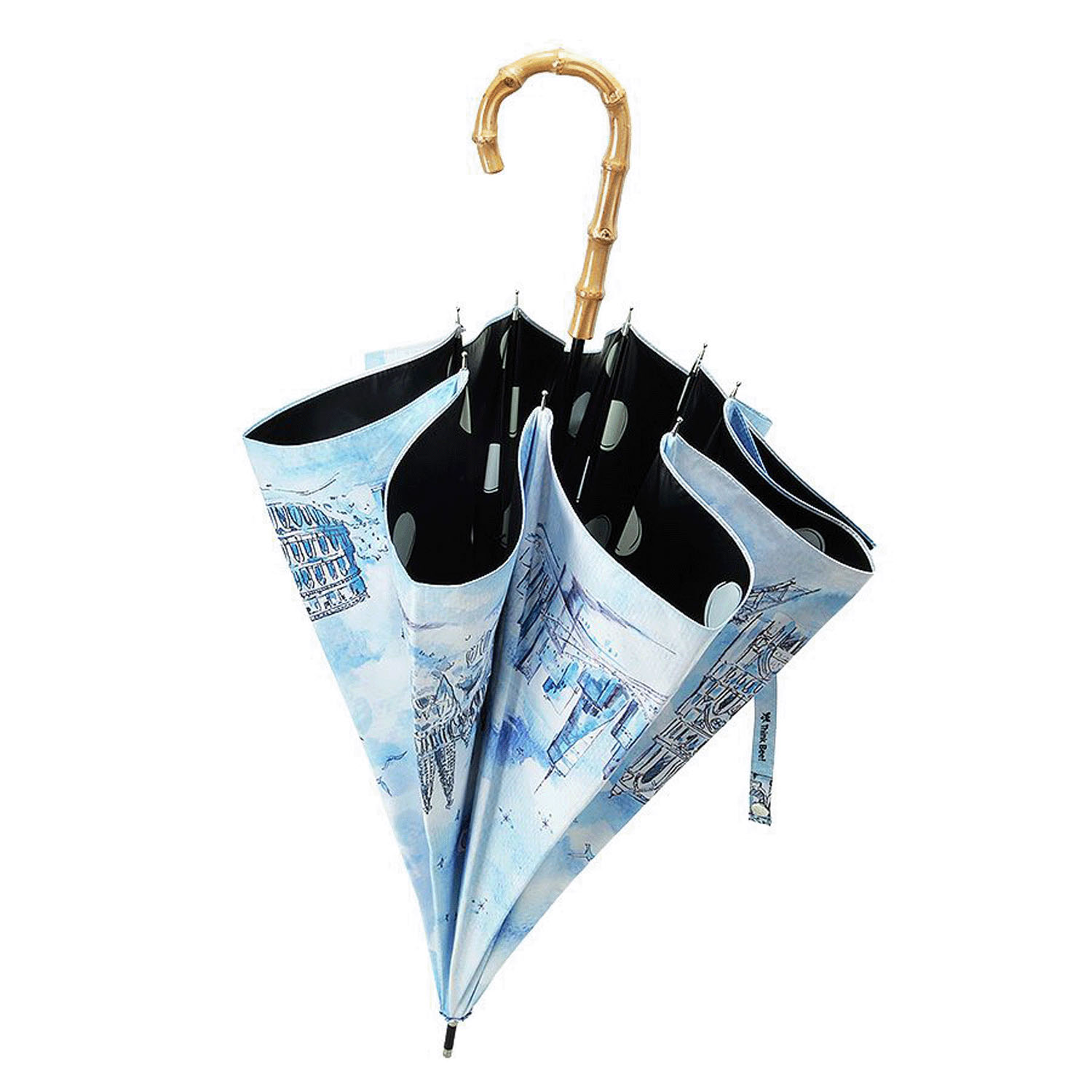 Think Bee！ 晴雨兼用 カサノヴァ ワールド長傘 - 画像5