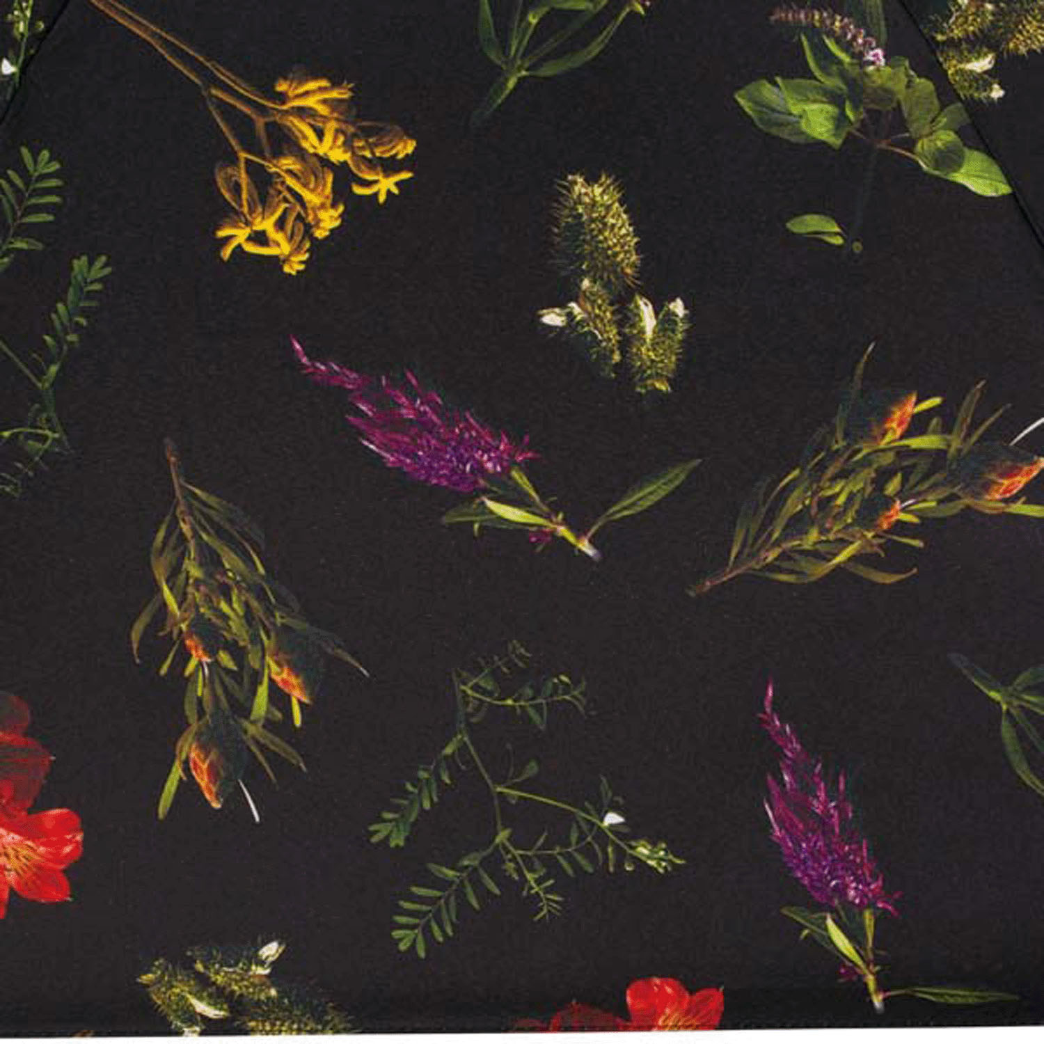 Wpc フラワープリントタイニー - 画像4