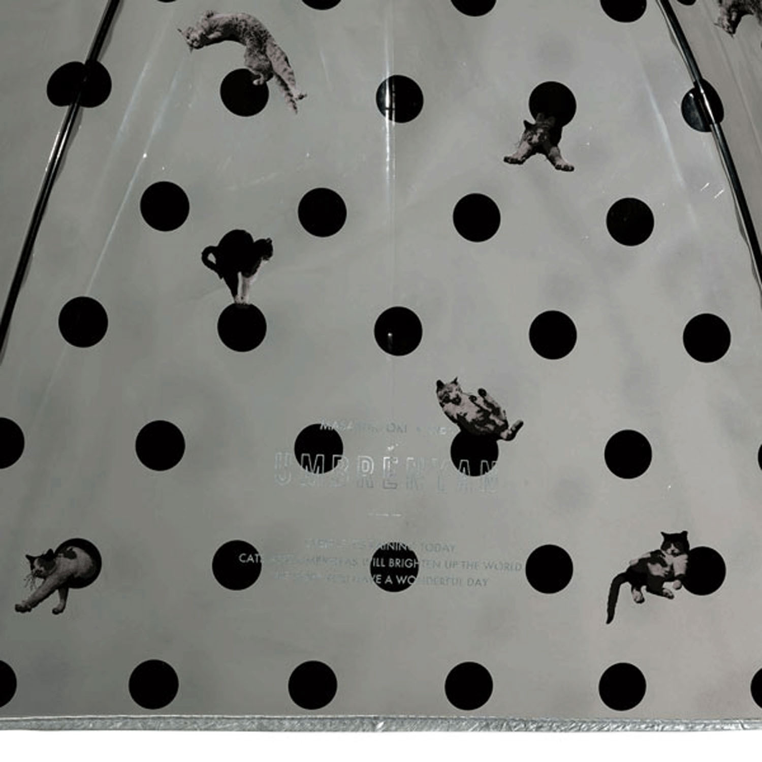 Wpc 沖さんアンブレにゃんドット長傘 - 画像3