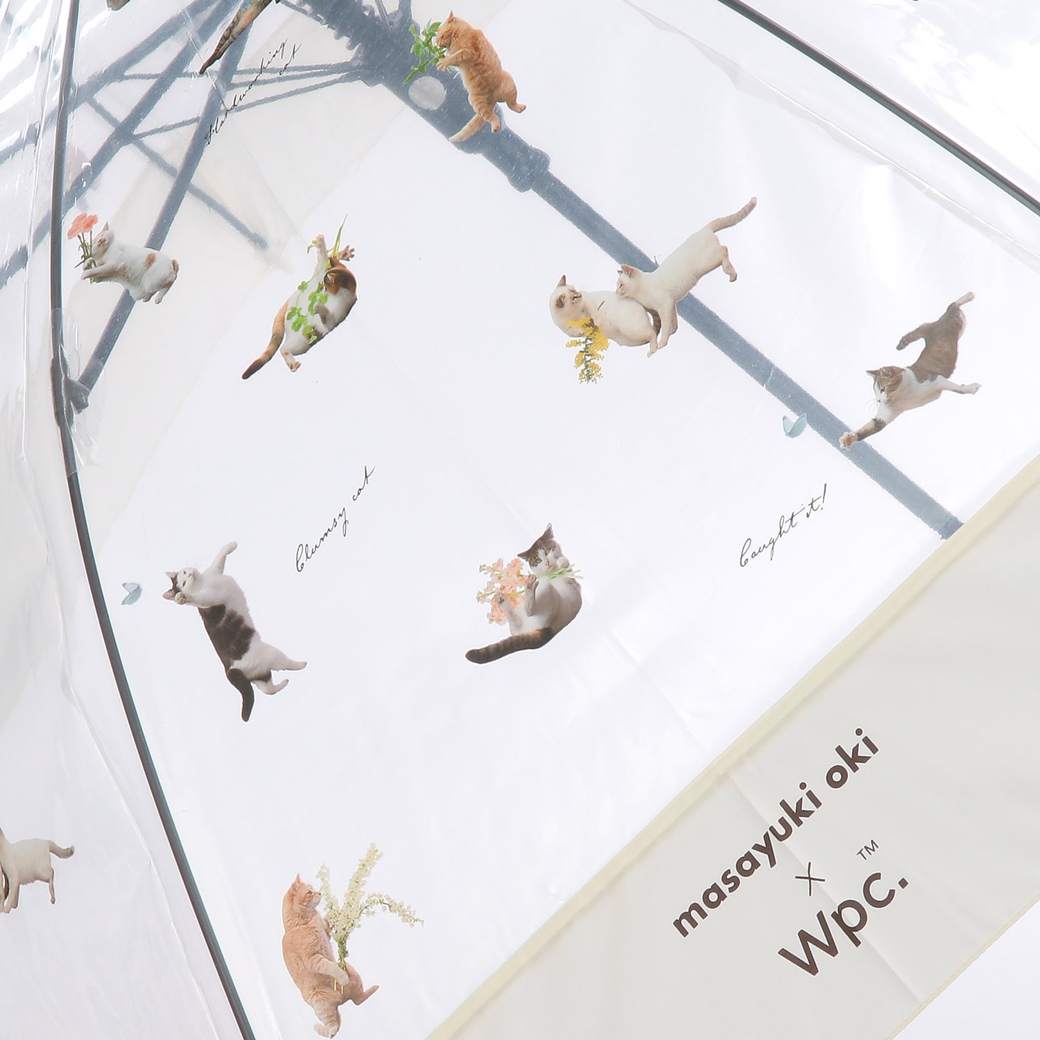 Wpc． 沖昌之さん×WPCアンブレにゃん - 画像2