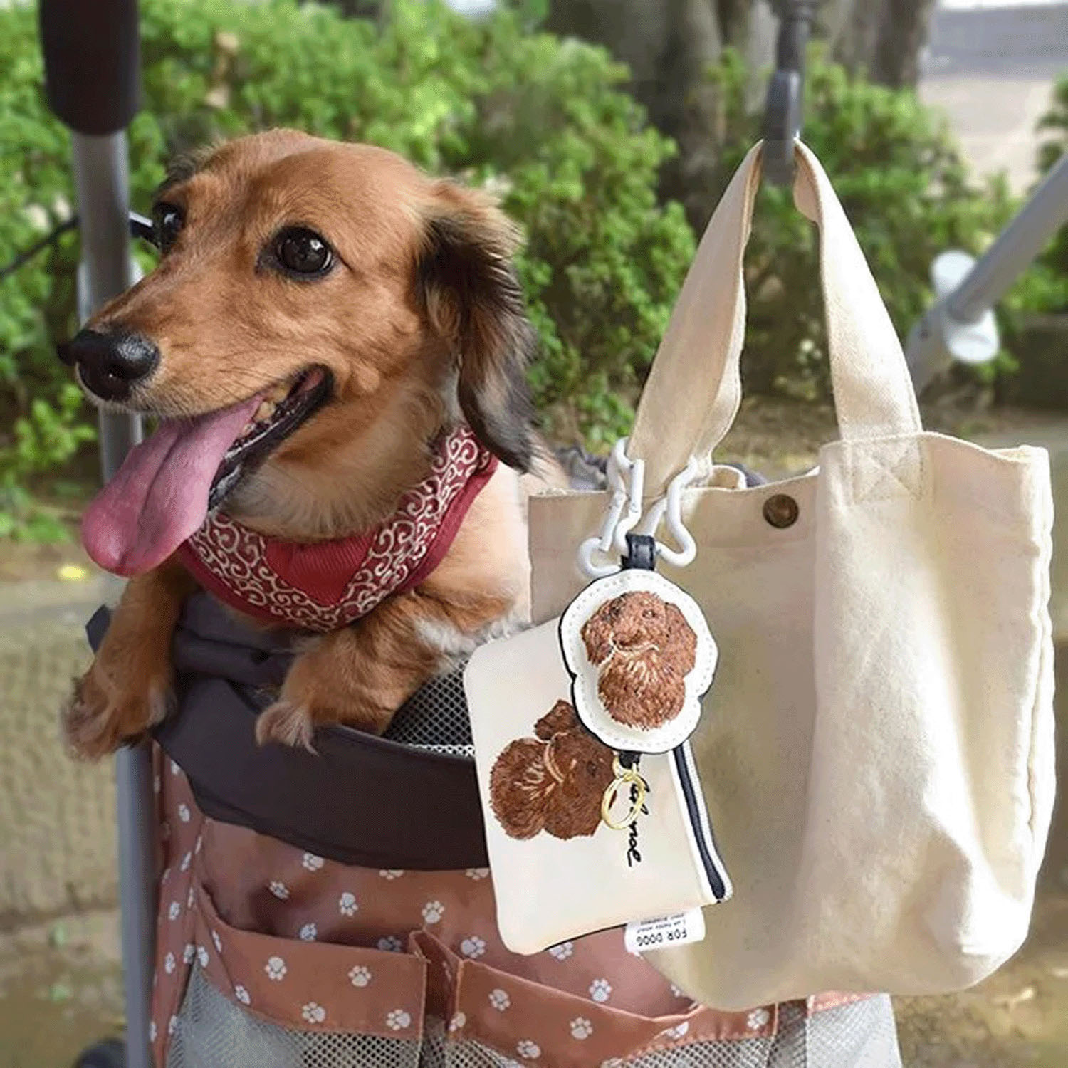 ドッグ リール付カラビナ - 画像13